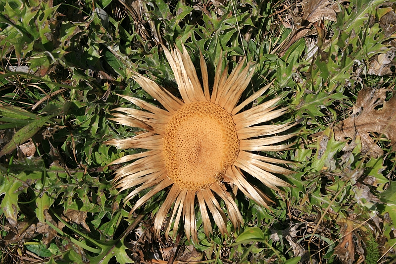 Bulgaria 2008 183